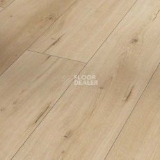 Ламинат Parador Classic 1050 4V 1744698 Дуб Pure Loft фото 1 | FLOORDEALER